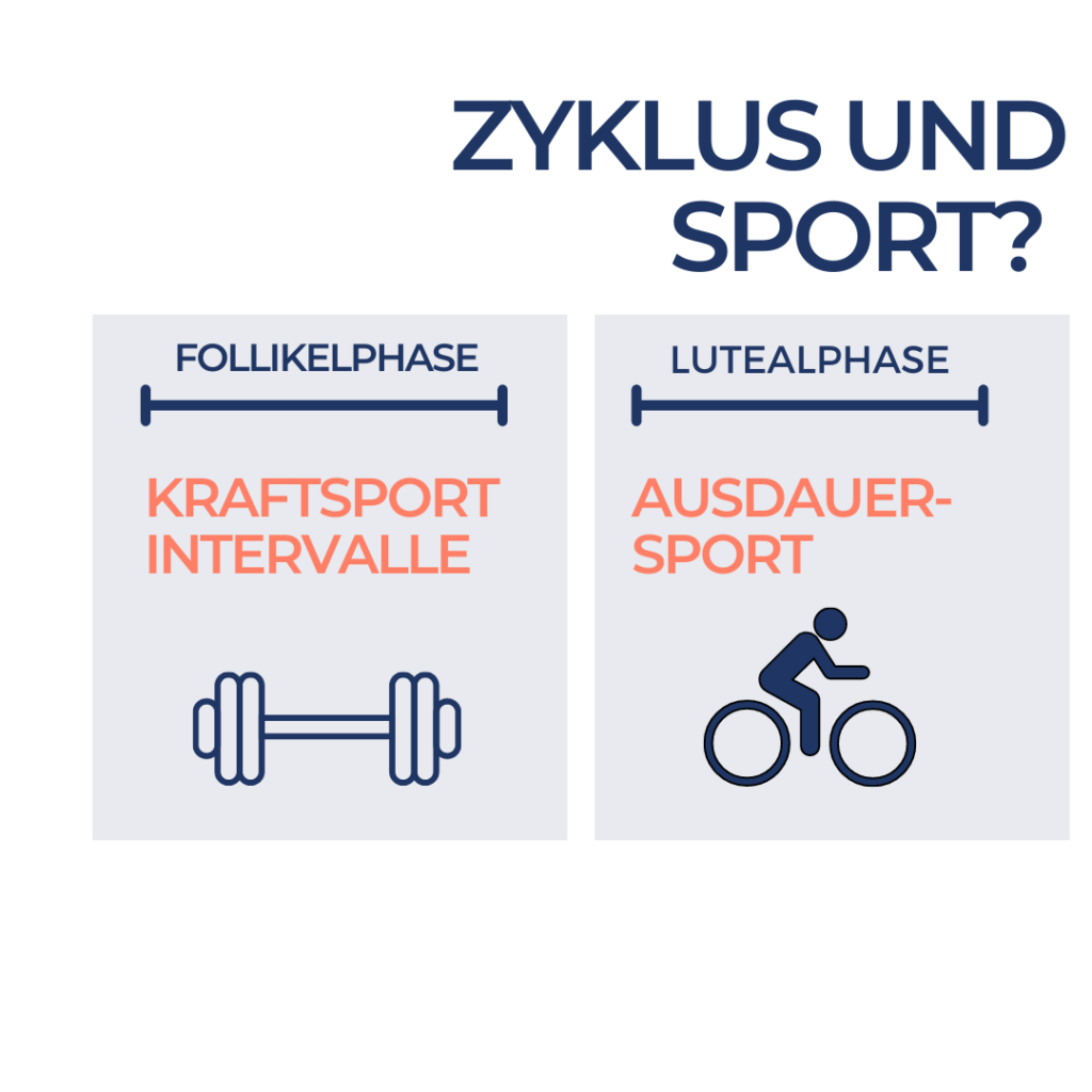 WAY TO WIN | Zyklusgesteuertes Training 7 | Leistungsdiagnostik, Leistungsoptimierung & Bikefitting in München